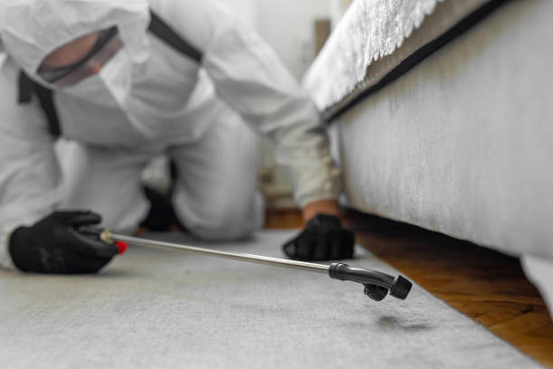 Professional Bed Bug Control technician working in Winchester city County, VA